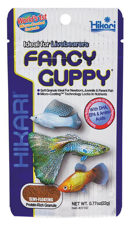 Hikari Fancy Guppy