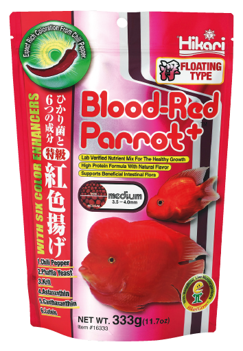 hikari-blood-red-parrot