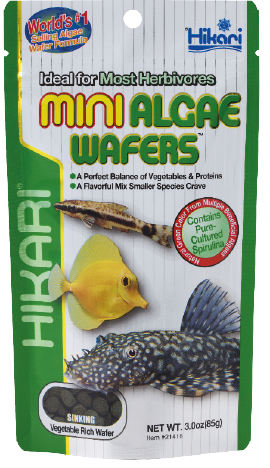 Hikari mini algae wafers